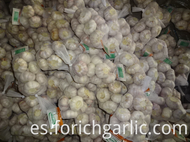 2019 Normal White Garlic